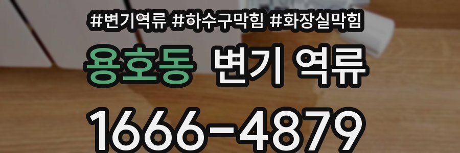 용호동 변기 역류