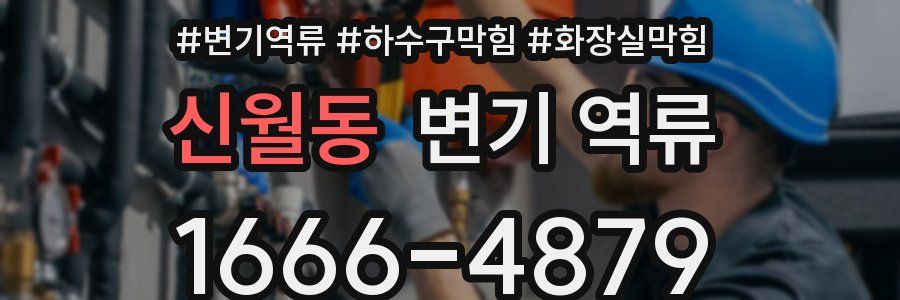 신월동 변기 역류