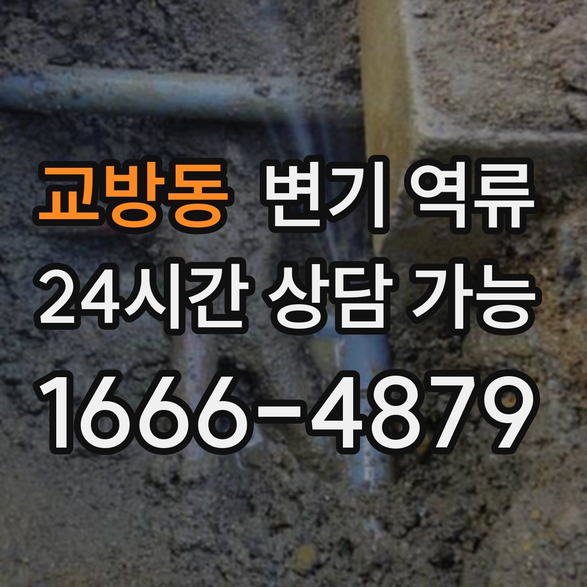 교방동 변기 역류