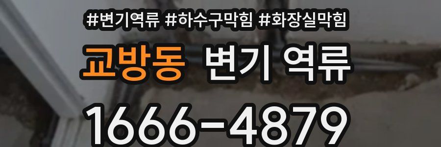 교방동 변기 역류