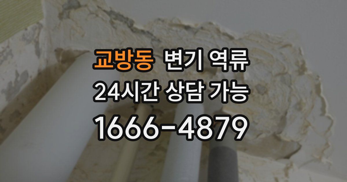 교방동 변기 역류