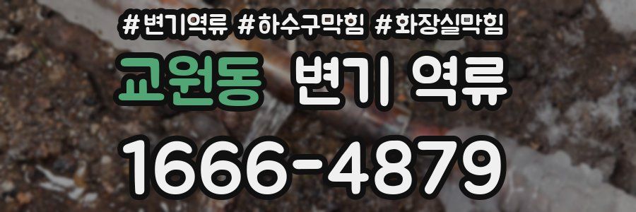 교원동 변기 역류