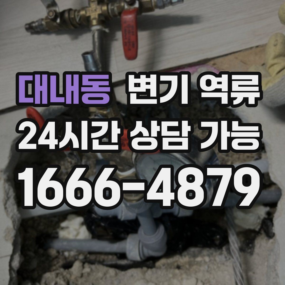 대내동 변기 역류 물을 내리기 전에 멈춰야 하는 이유