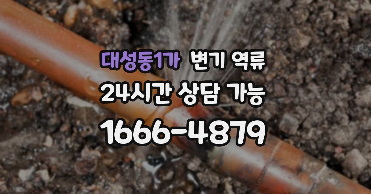 대성동1가 변기 역류