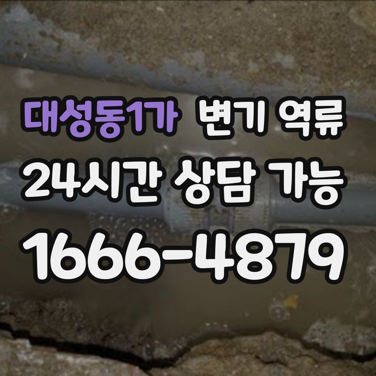 대성동1가 변기 역류