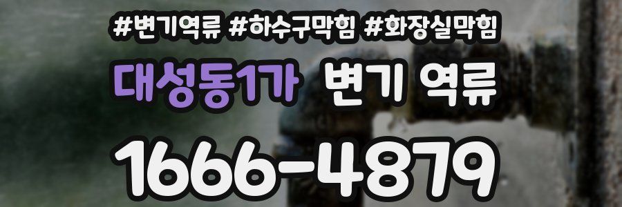 대성동1가 변기 역류