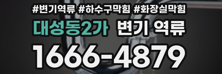 대성동2가 변기 역류