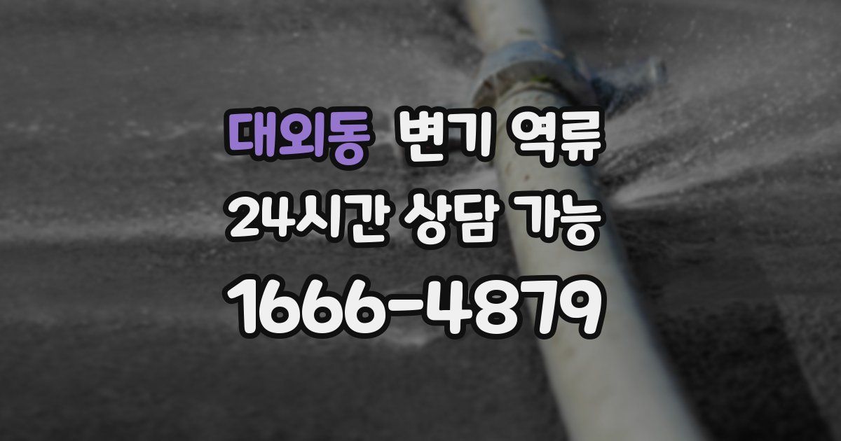 대외동 변기 역류