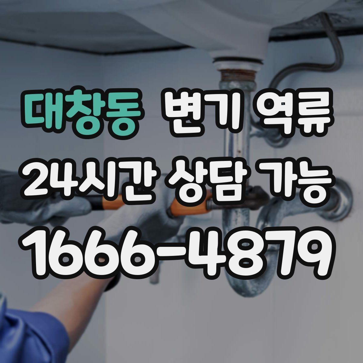 대창동 변기 역류 어린이·반려동물 접근을 막아야 하는 이유