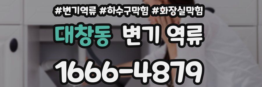 대창동 변기 역류