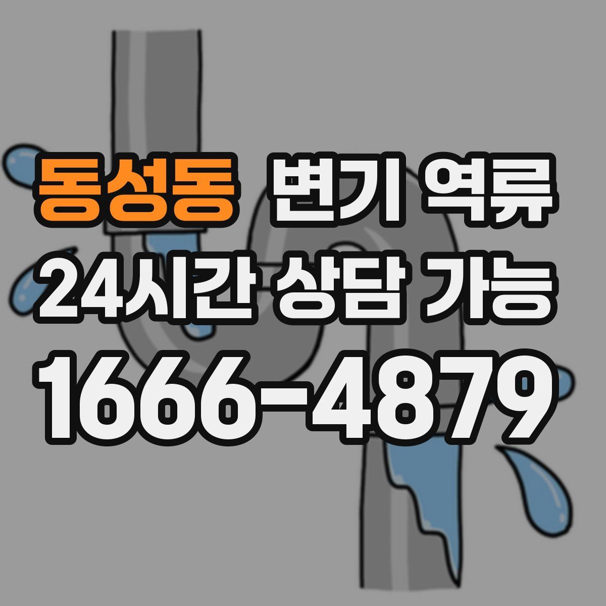 동성동 변기 역류