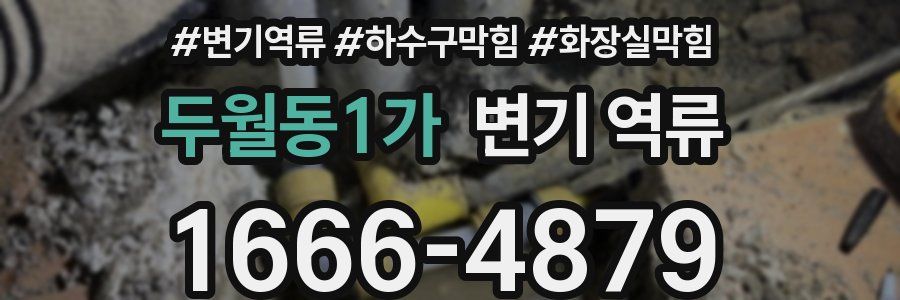 두월동1가 변기 역류