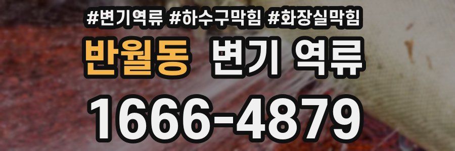 반월동 변기 역류