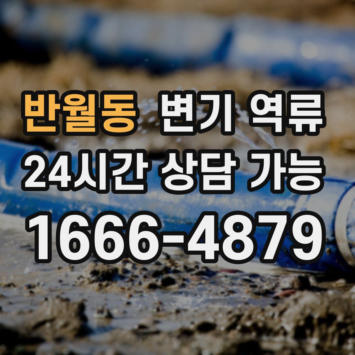 반월동 변기 역류