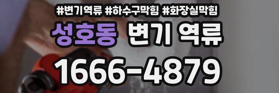 성호동 변기 역류