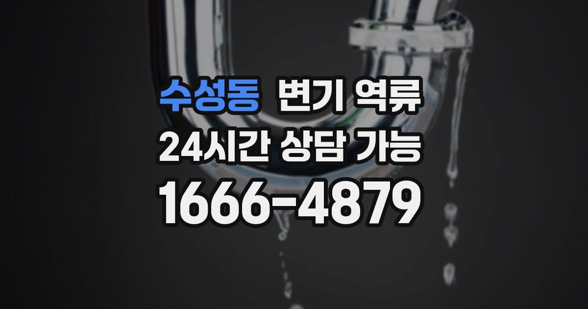 수성동 변기 역류