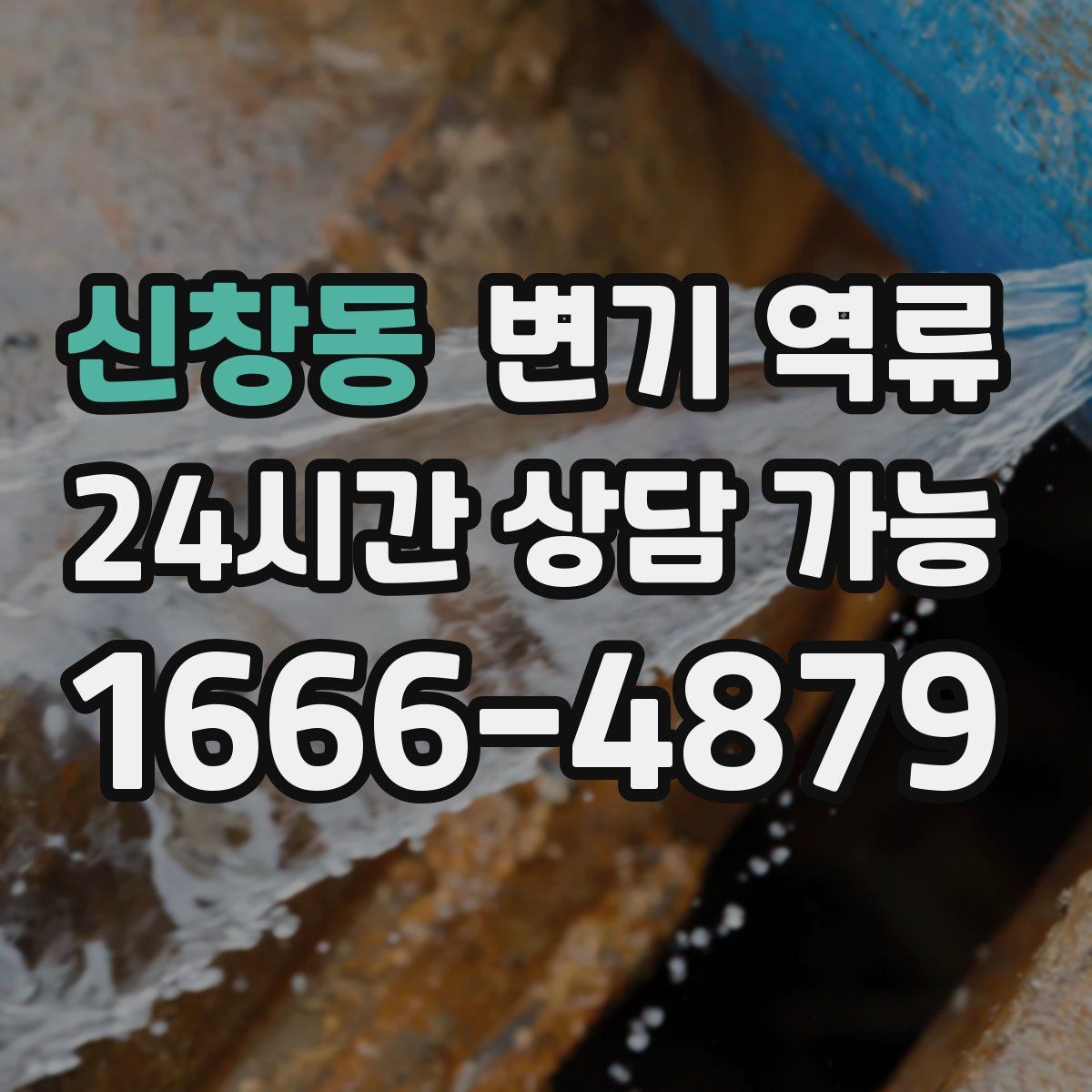 신창동 변기 역류