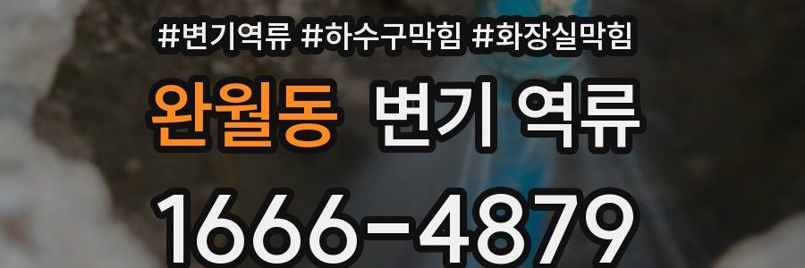 완월동 변기 역류