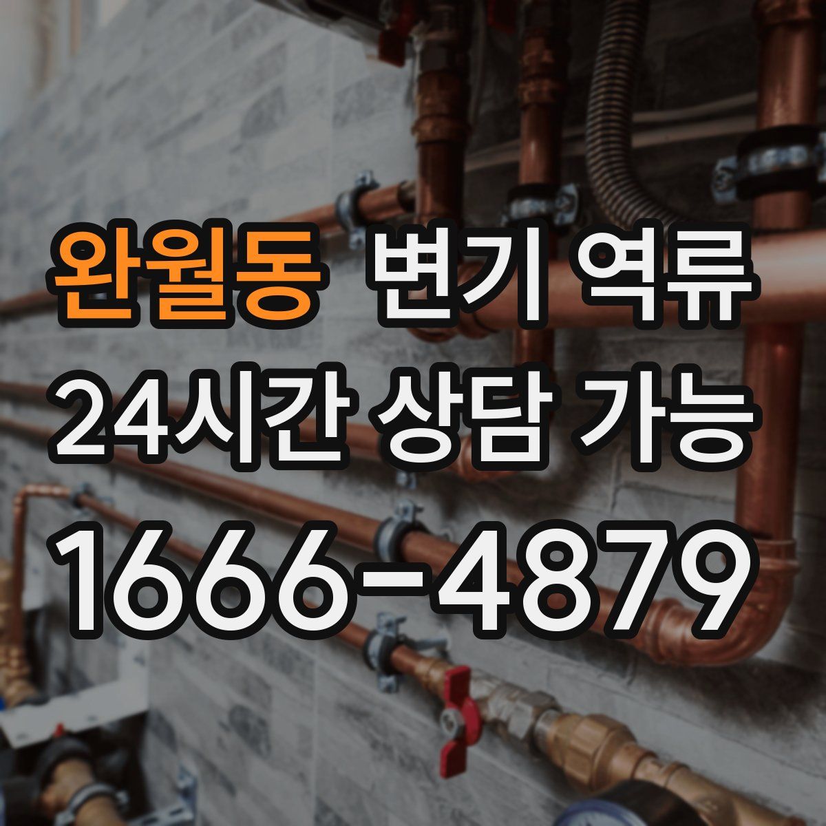 완월동 변기 역류