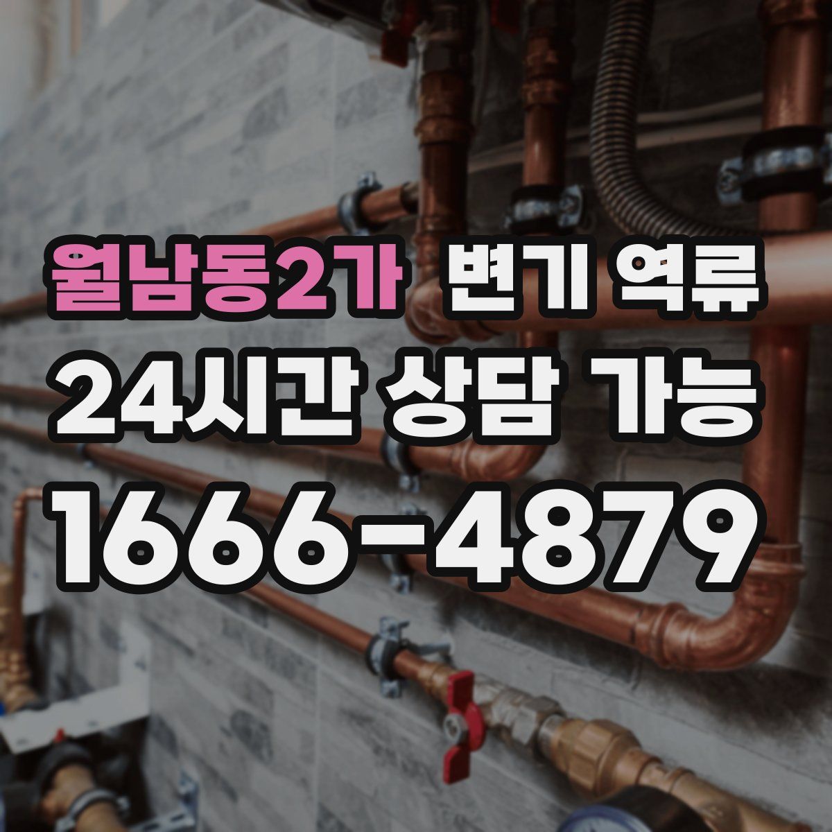 월남동2가 변기 역류