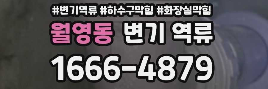 월영동 변기 역류