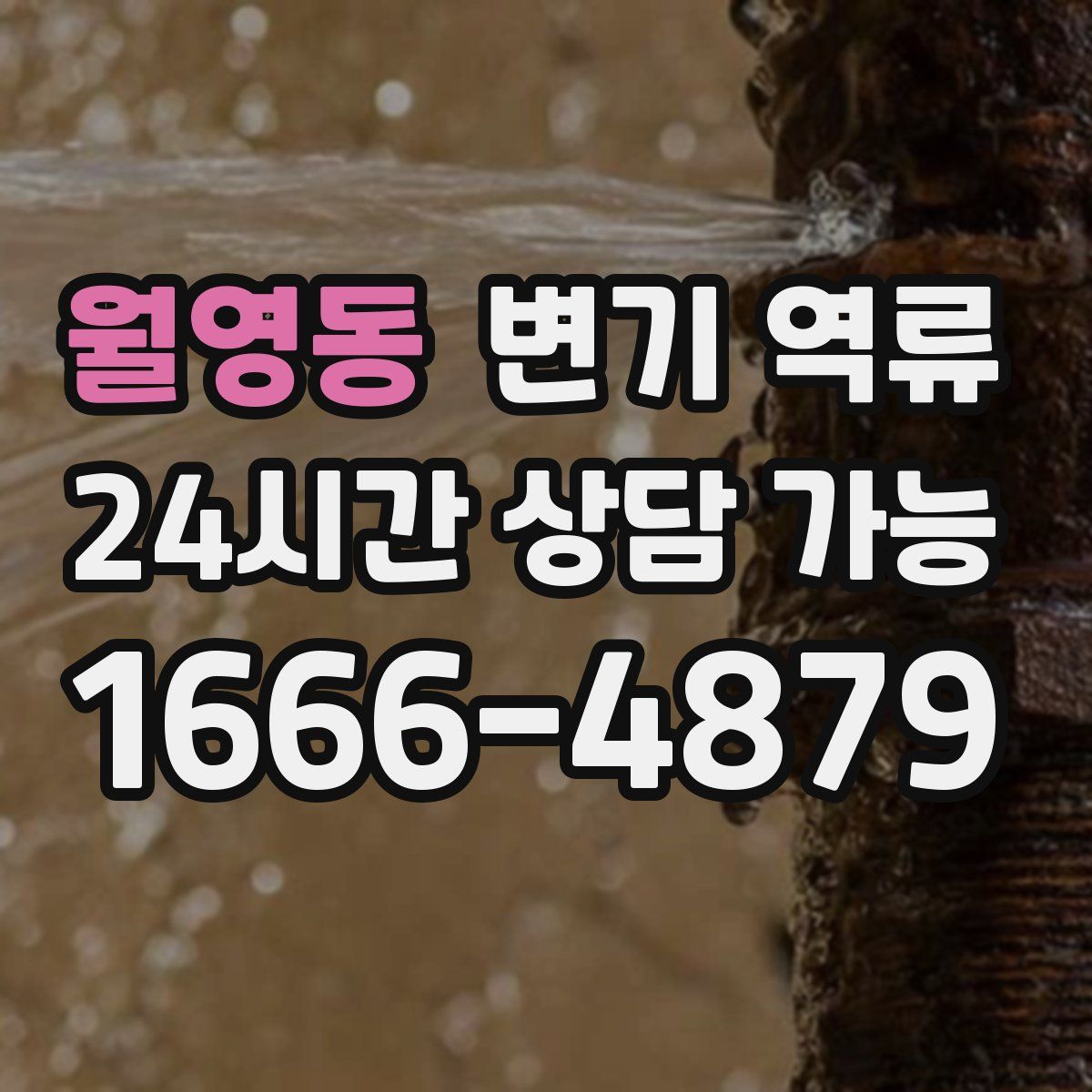 월영동 변기 역류