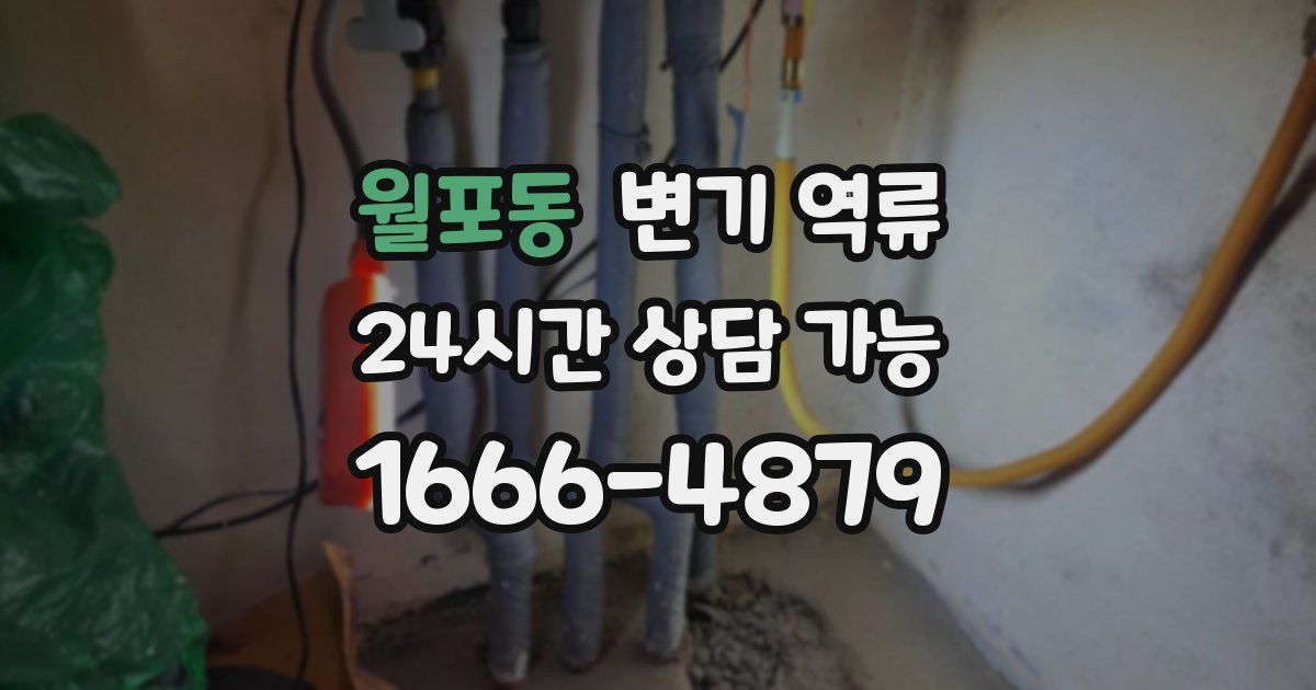 월포동 변기 역류