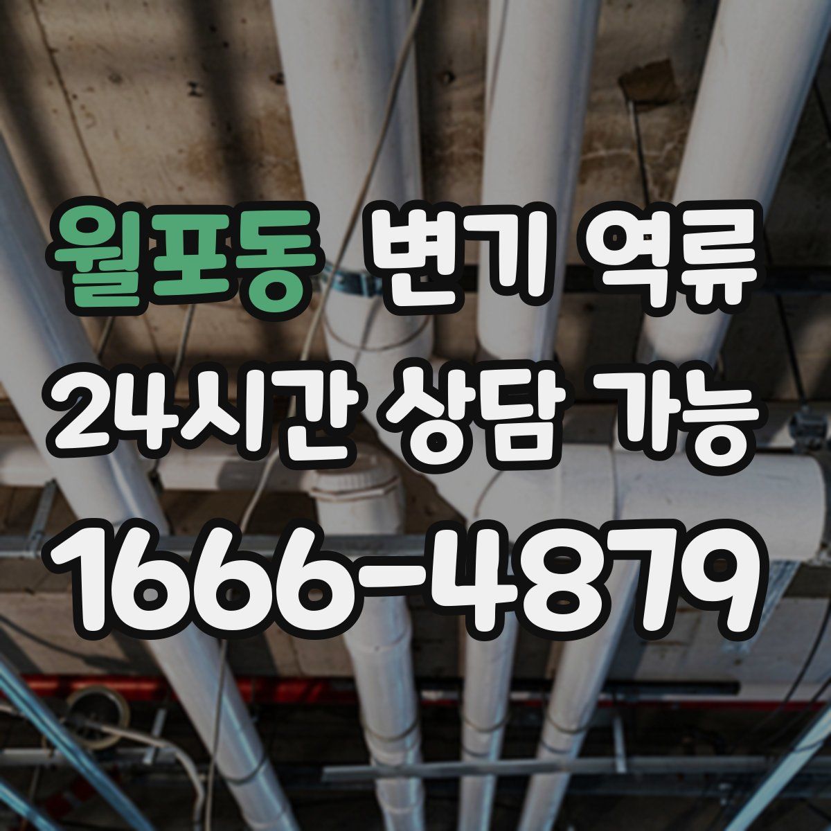 월포동 변기 역류