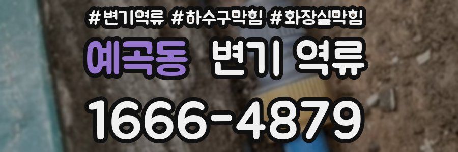 예곡동 변기 역류