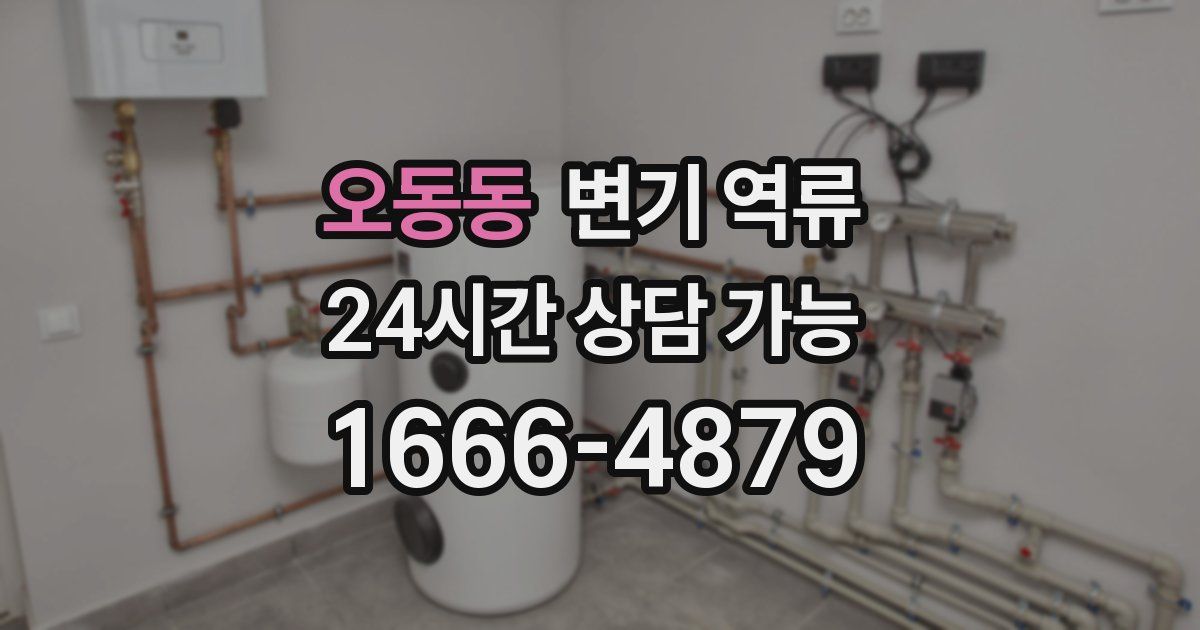 오동동 변기 역류