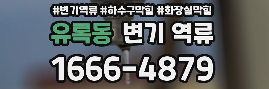 유록동 변기 역류