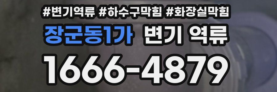 장군동1가 변기 역류