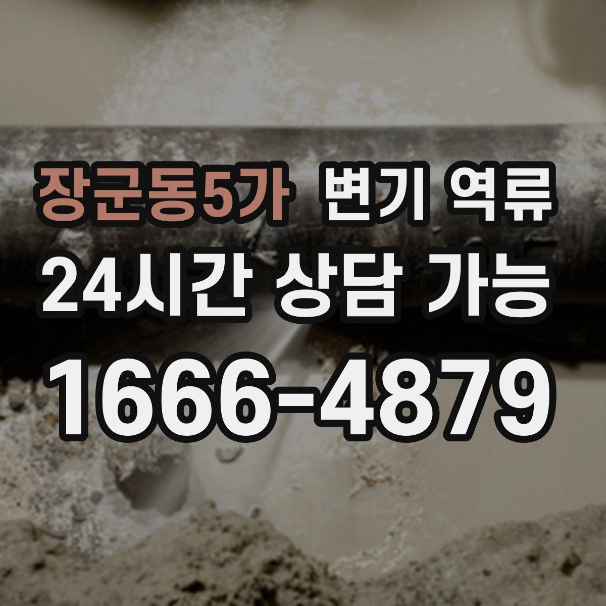 장군동5가 변기 역류
