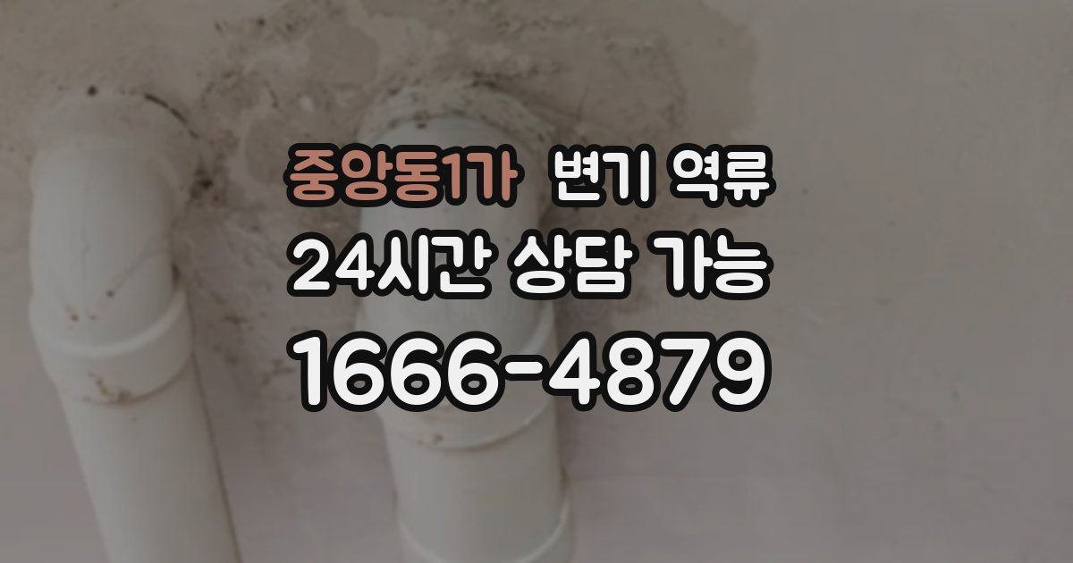 중앙동1가 변기 역류