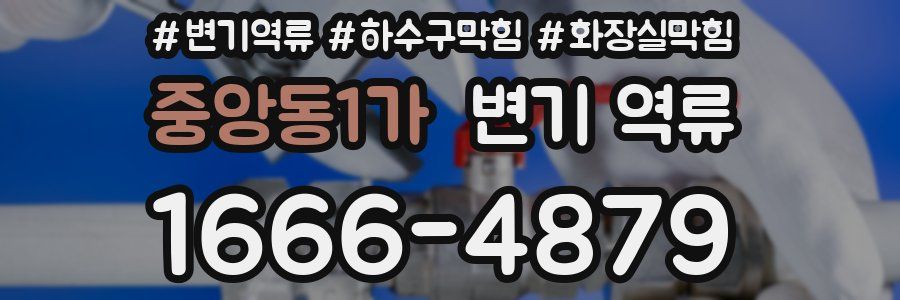 중앙동1가 변기 역류