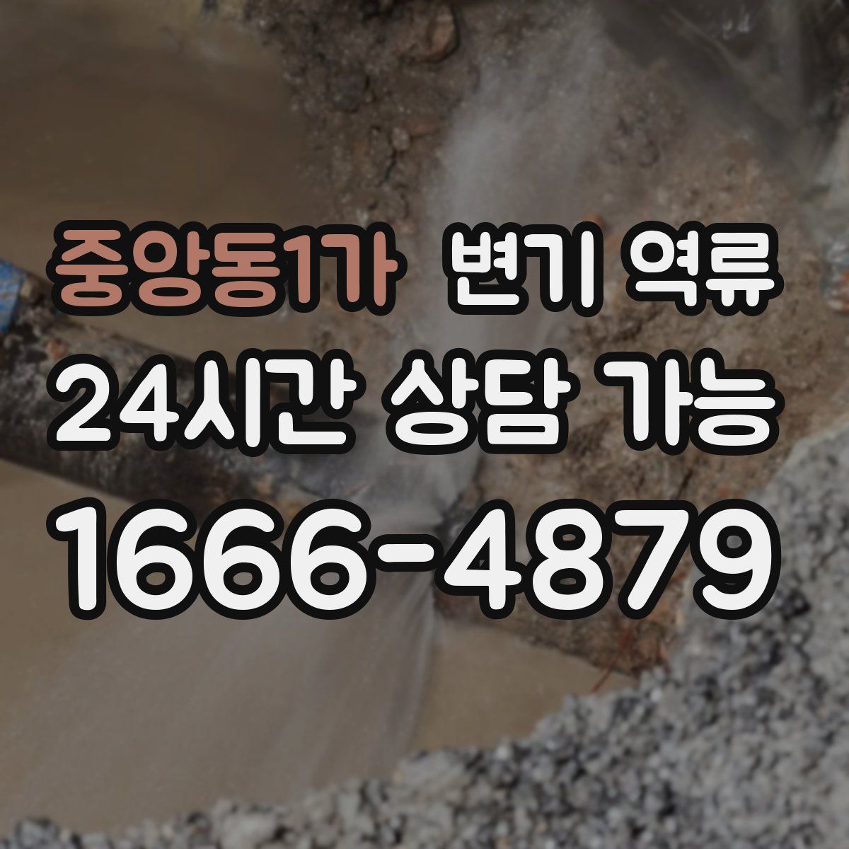 중앙동1가 변기 역류