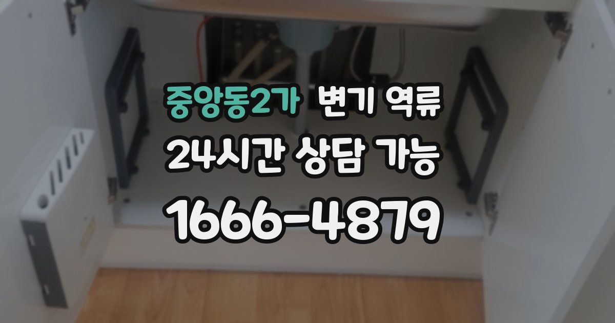 중앙동2가 변기 역류