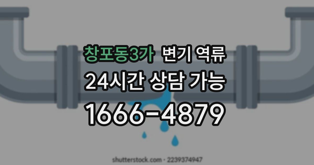 창포동3가 변기 역류