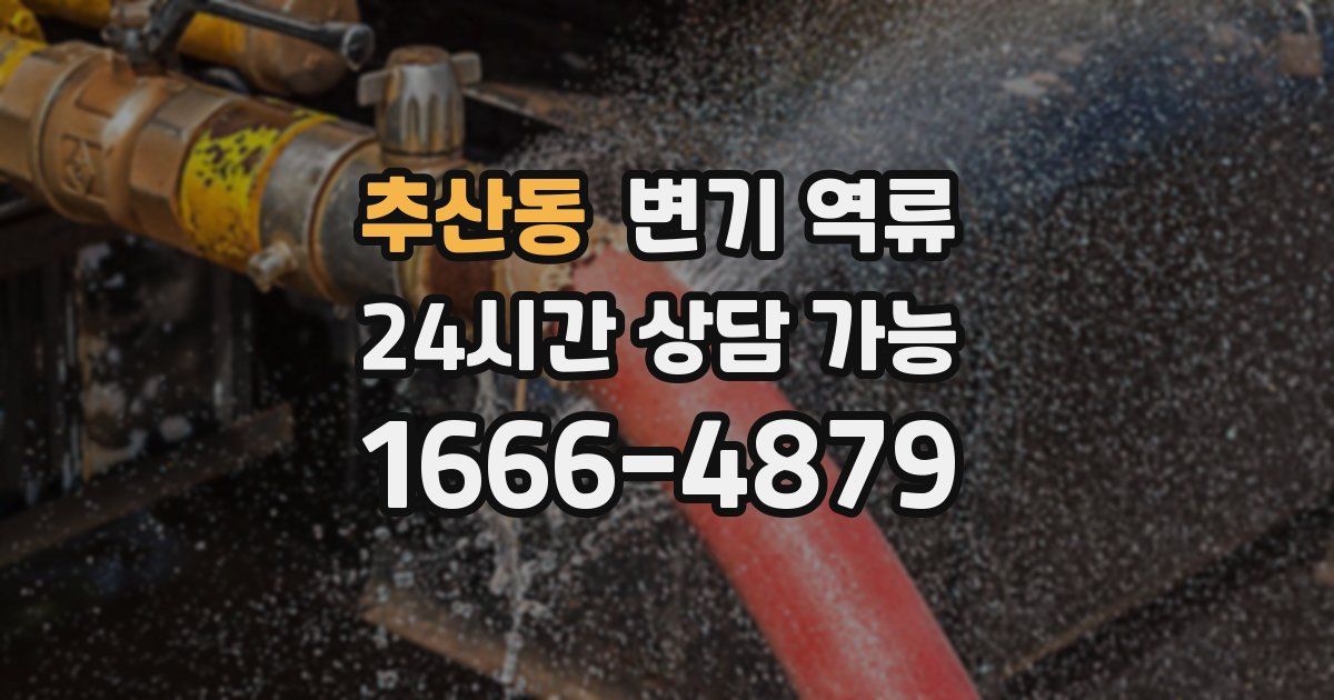 추산동 변기 역류