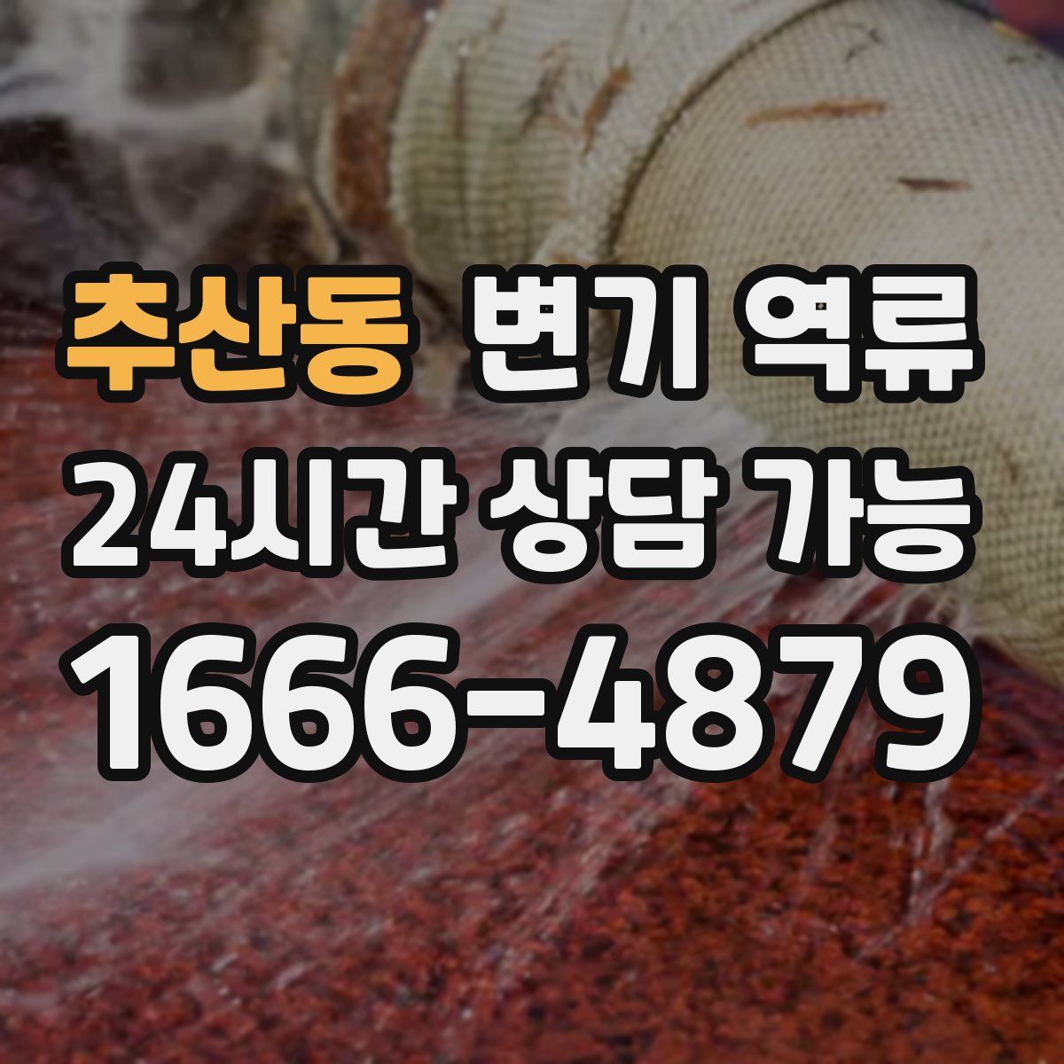 추산동 변기 역류