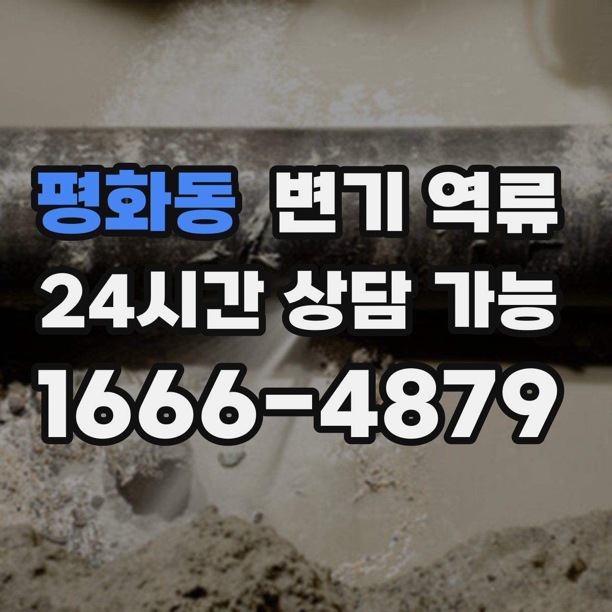 평화동 변기 역류 공용 화장실 막힘이 커지는 과정