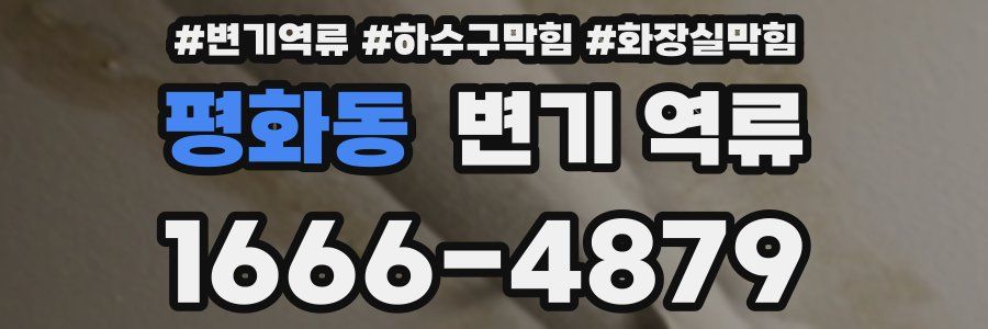 평화동 변기 역류