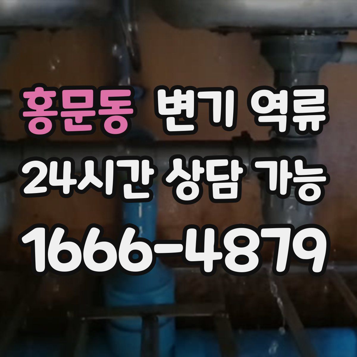 홍문동 변기 역류