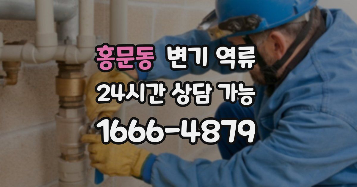 홍문동 변기 역류