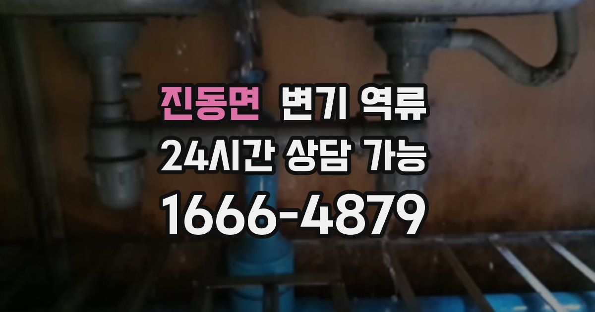 진동면 변기 역류