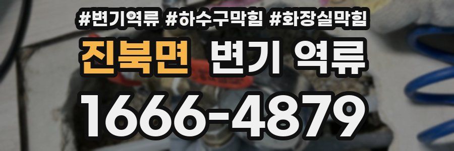 진북면 변기 역류