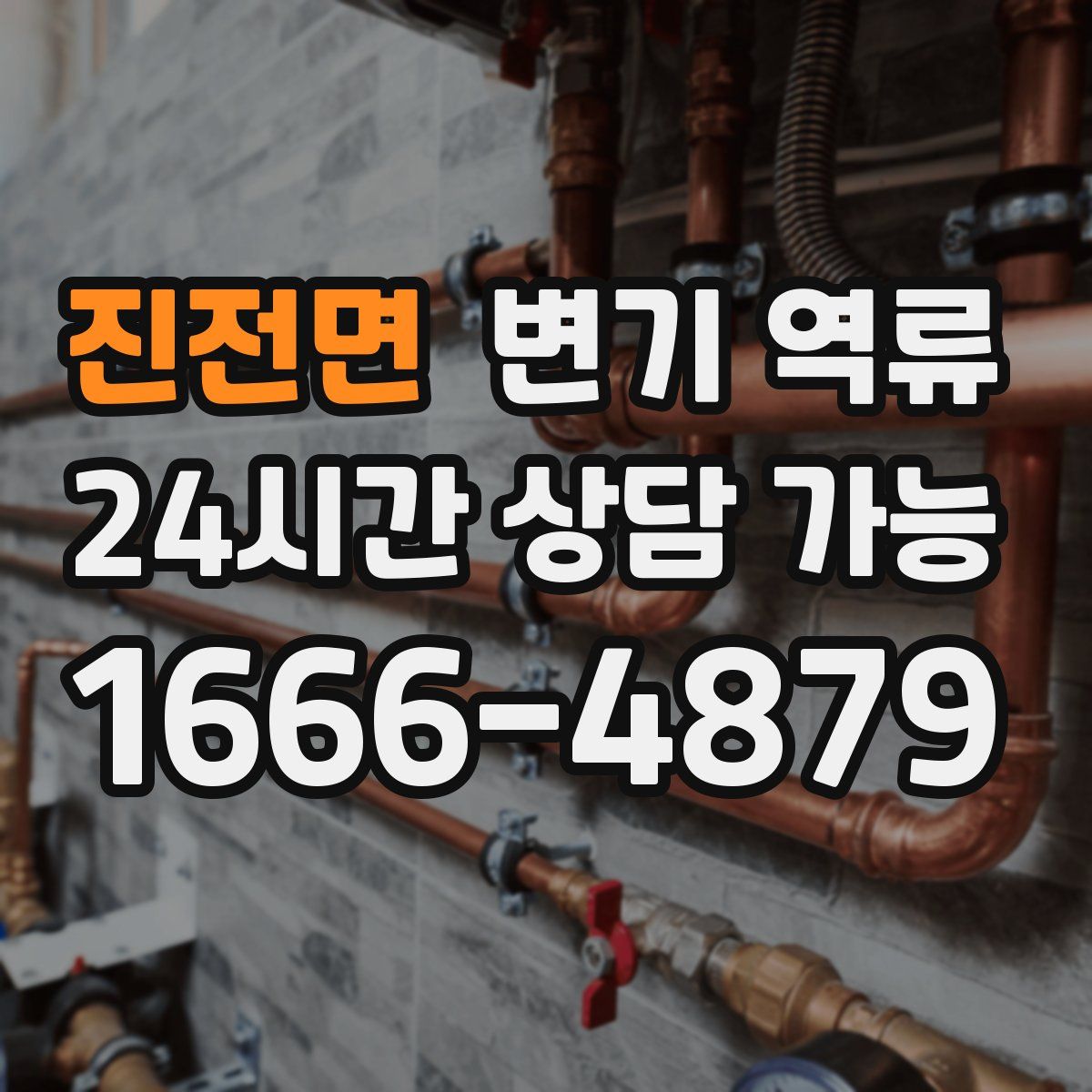 진전면 변기 역류