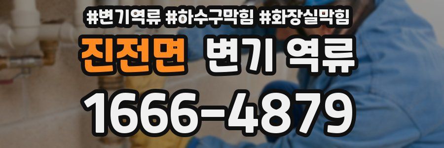 진전면 변기 역류