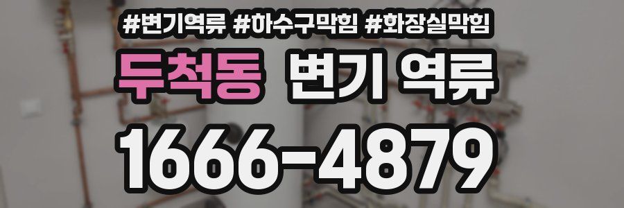 두척동 변기 역류