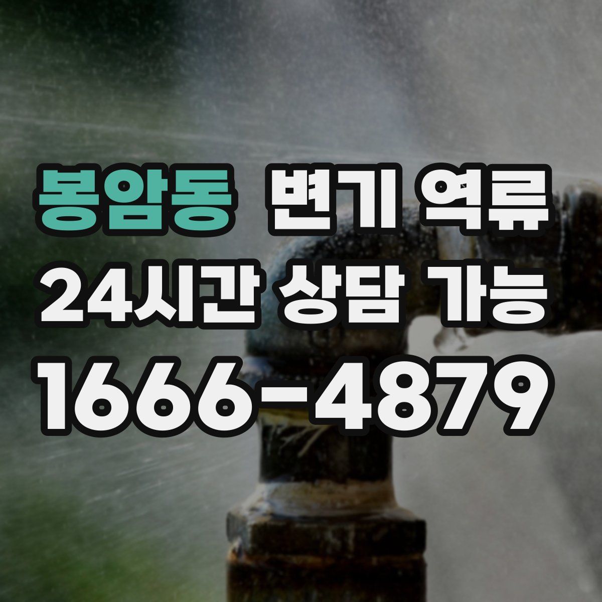 봉암동 변기 역류